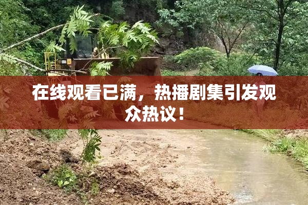 在线观看已满，热播剧集引发观众热议！