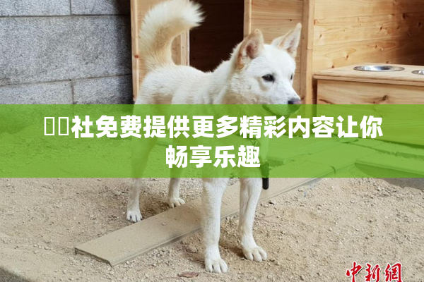 擼擼社免费提供更多精彩内容让你畅享乐趣