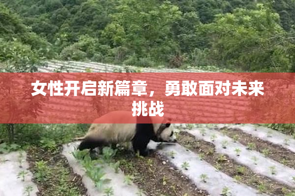 女性开启新篇章，勇敢面对未来挑战