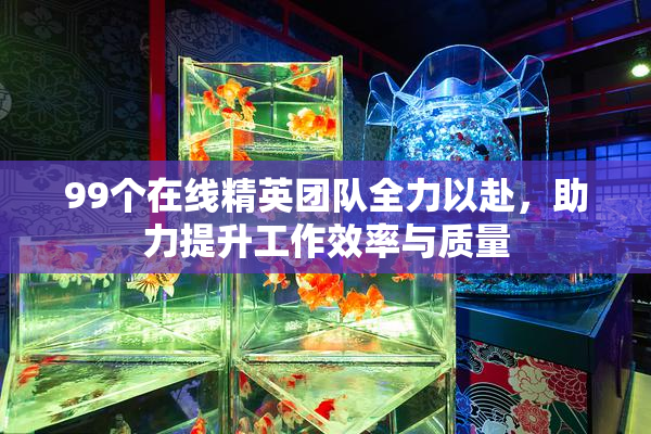99个在线精英团队全力以赴，助力提升工作效率与质量