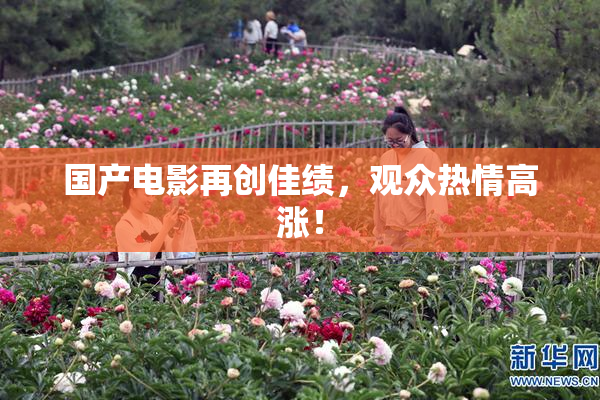 国产电影再创佳绩，观众热情高涨！