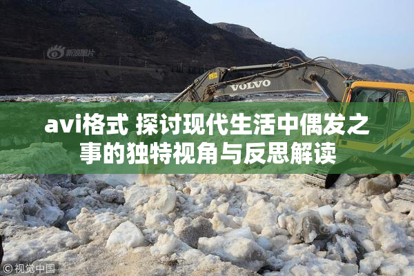 avi格式 探讨现代生活中偶发之事的独特视角与反思解读