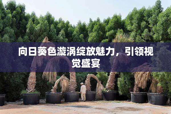 向日葵色漩涡绽放魅力，引领视觉盛宴