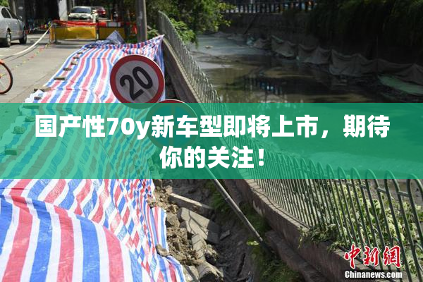 国产性70y新车型即将上市，期待你的关注！