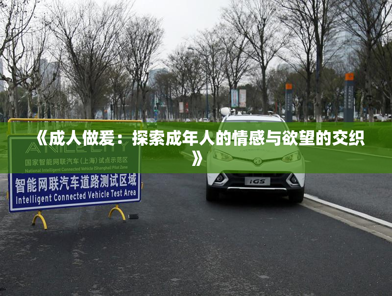 《成人做爰：探索成年人的情感与欲望的交织》