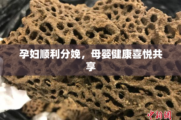 孕妇顺利分娩，母婴健康喜悦共享