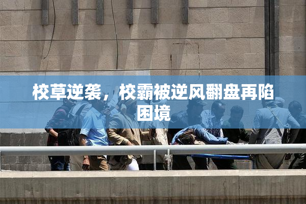 校草逆袭，校霸被逆风翻盘再陷困境