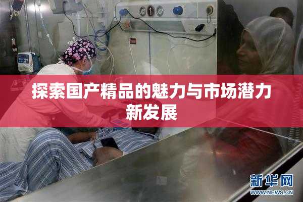 探索国产精品的魅力与市场潜力新发展