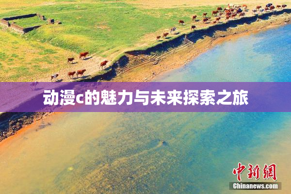 动漫c的魅力与未来探索之旅