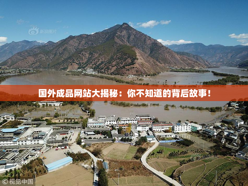 国外成品网站大揭秘：你不知道的背后故事！