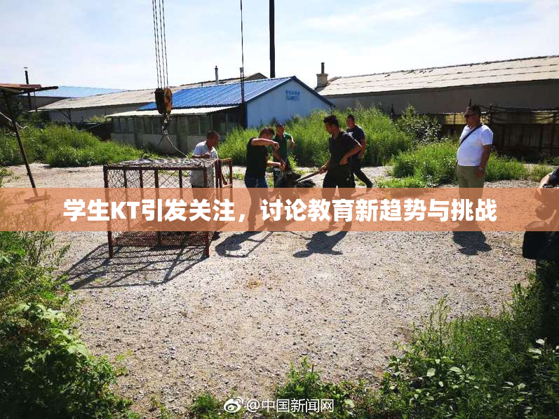 学生KT引发关注，讨论教育新趋势与挑战