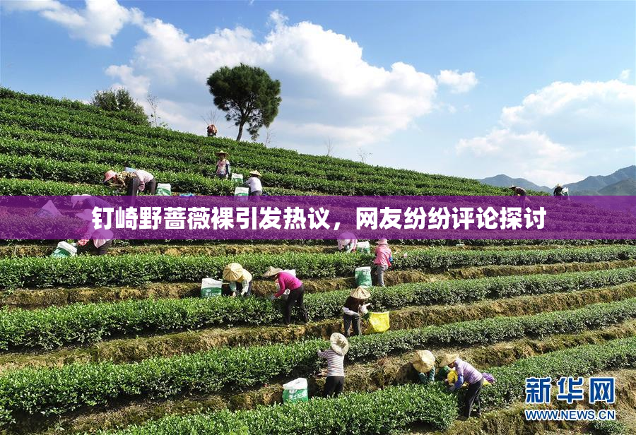 钉崎野蔷薇裸引发热议，网友纷纷评论探讨
