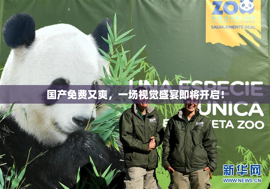 国产免费又爽，一场视觉盛宴即将开启！