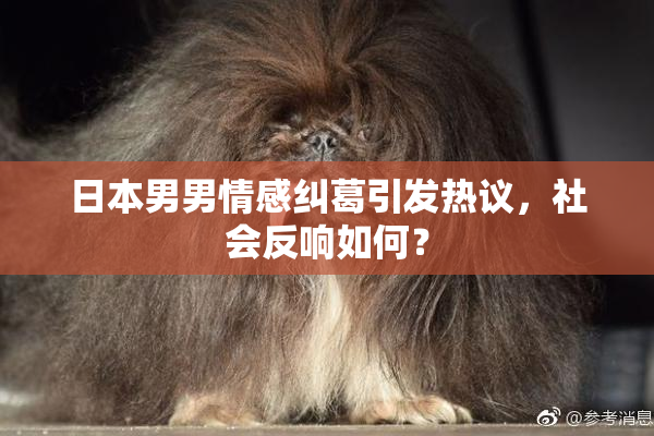 日本男男情感纠葛引发热议，社会反响如何？