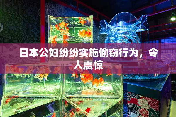 日本公妇纷纷实施偷窃行为，令人震惊