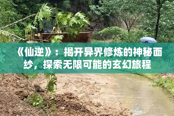 《仙逆》：揭开异界修炼的神秘面纱，探索无限可能的玄幻旅程