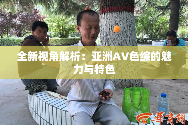 全新视角解析：亚洲AV色综的魅力与特色