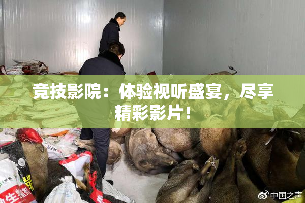 竞技影院：体验视听盛宴，尽享精彩影片！
