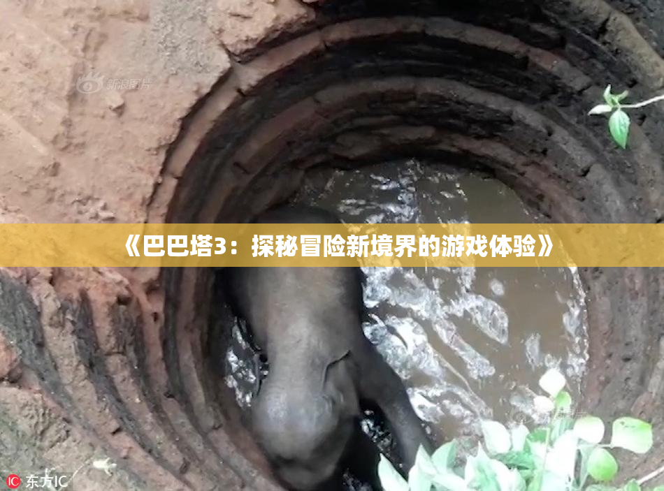 《巴巴塔3：探秘冒险新境界的游戏体验》