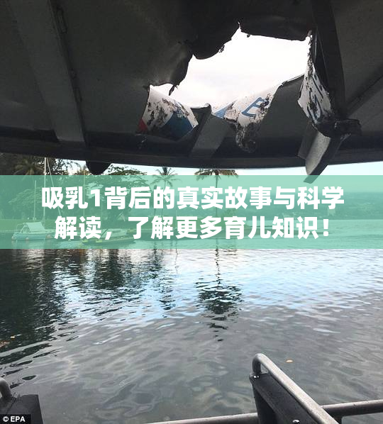 吸乳1背后的真实故事与科学解读，了解更多育儿知识！