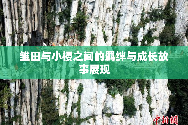雏田与小樱之间的羁绊与成长故事展现