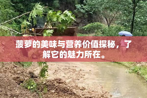 菠萝的美味与营养价值探秘，了解它的魅力所在。