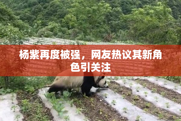 杨紫再度被强，网友热议其新角色引关注