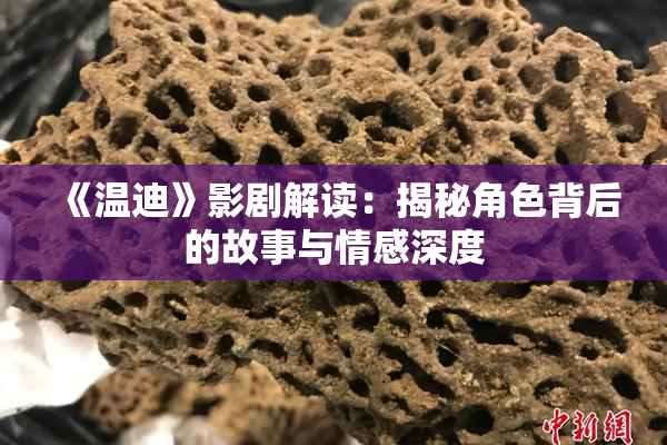 《温迪》影剧解读：揭秘角色背后的故事与情感深度