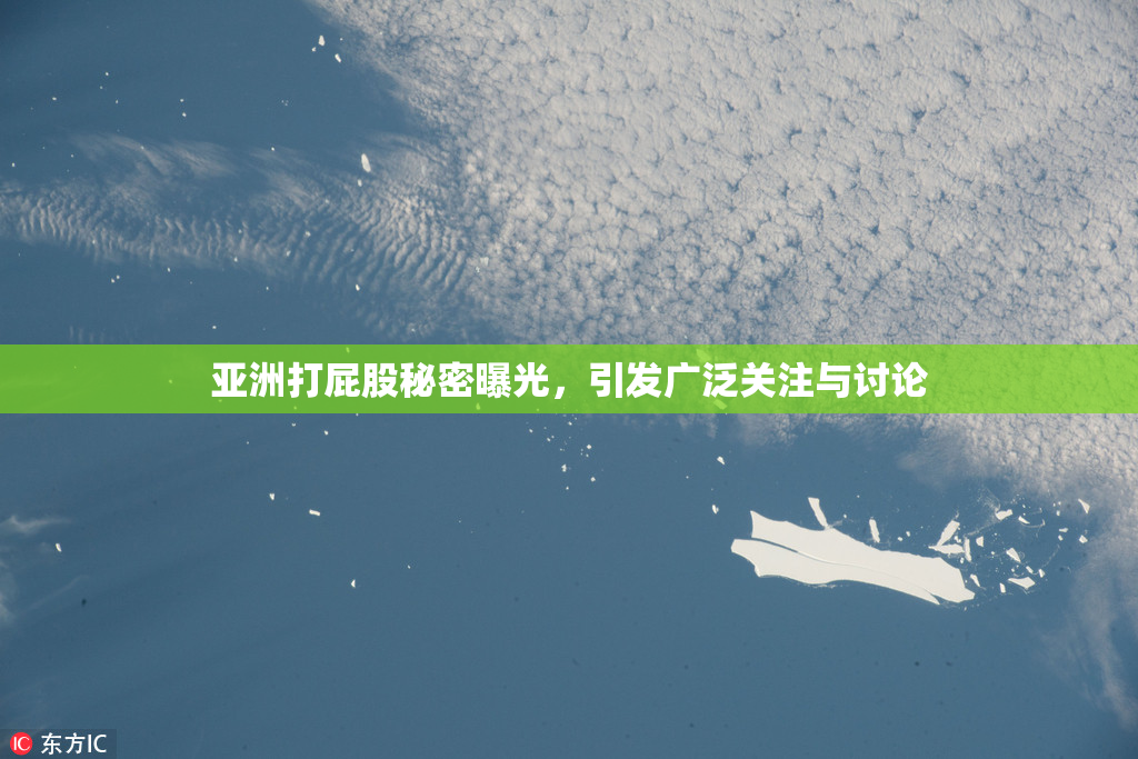 亚洲打屁股秘密曝光，引发广泛关注与讨论