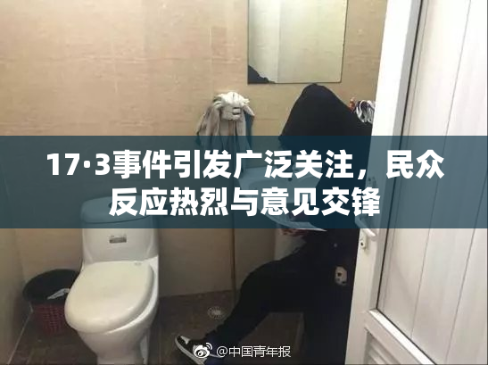 17·3事件引发广泛关注，民众反应热烈与意见交锋