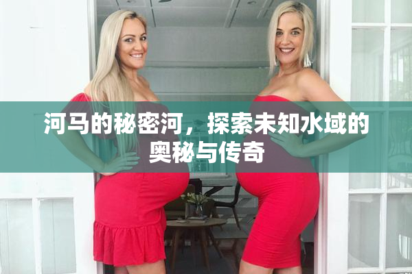 河马的秘密河，探索未知水域的奥秘与传奇