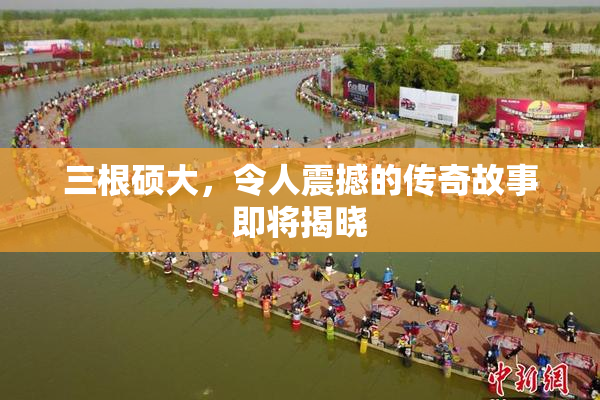三根硕大，令人震撼的传奇故事即将揭晓