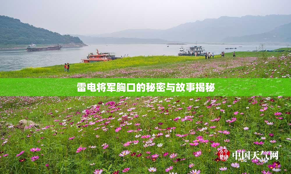雷电将军胸口的秘密与故事揭秘