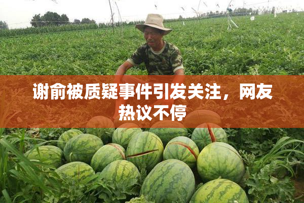 谢俞被质疑事件引发关注，网友热议不停