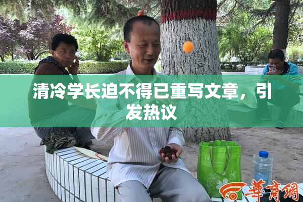清冷学长迫不得已重写文章，引发热议