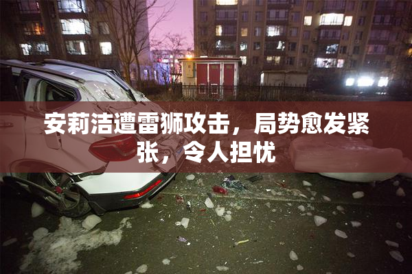 安莉洁遭雷狮攻击，局势愈发紧张，令人担忧