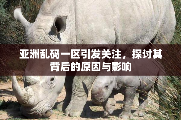 亚洲乱码一区引发关注，探讨其背后的原因与影响