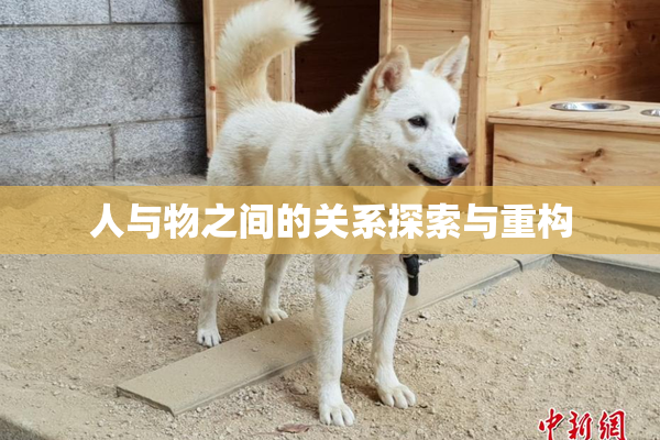 人与物之间的关系探索与重构