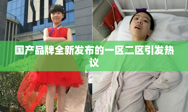 国产品牌全新发布的一区二区引发热议