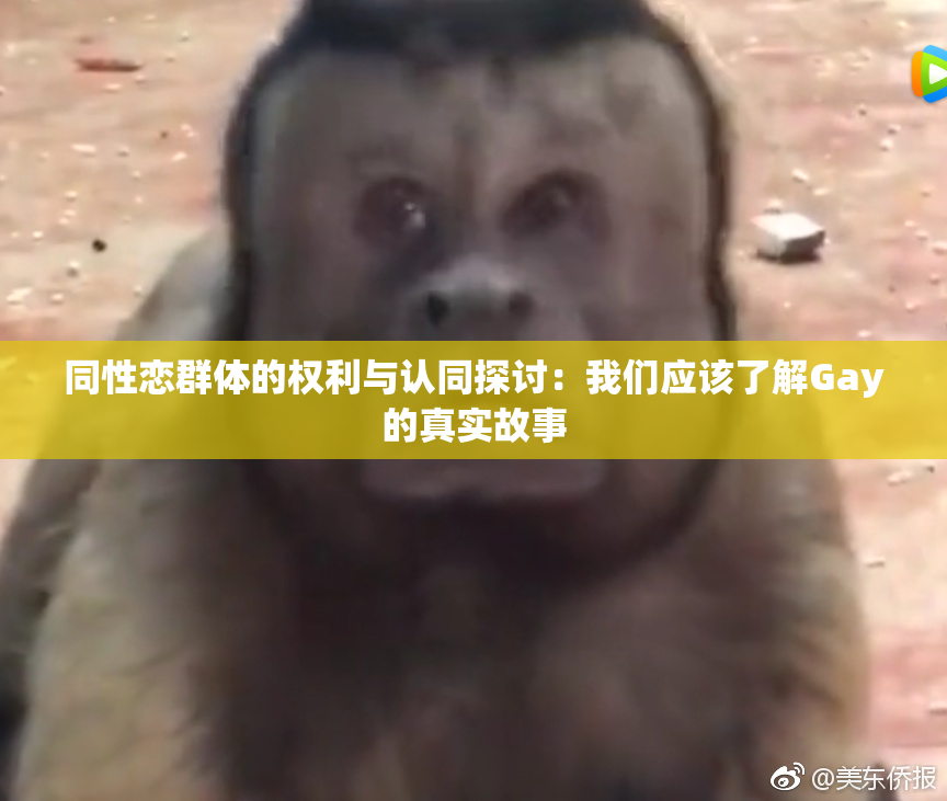 同性恋群体的权利与认同探讨：我们应该了解Gay的真实故事