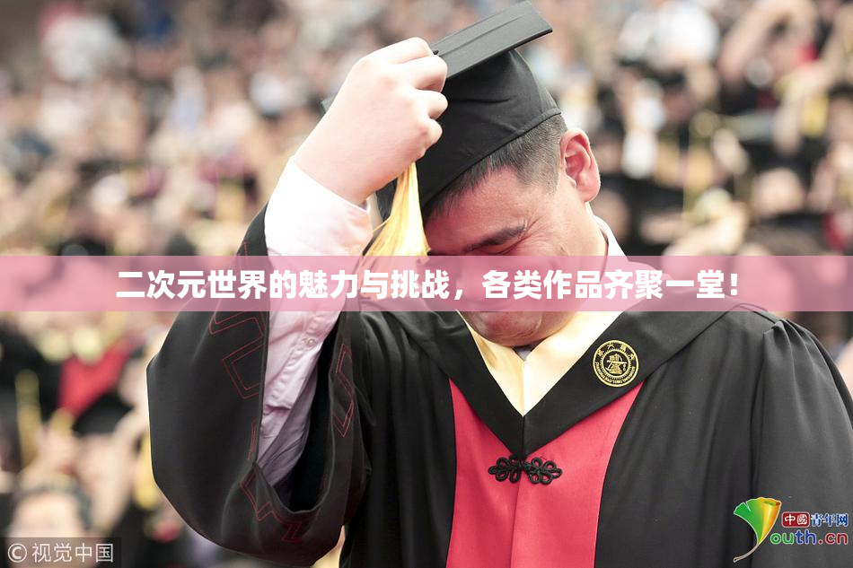 二次元世界的魅力与挑战，各类作品齐聚一堂！