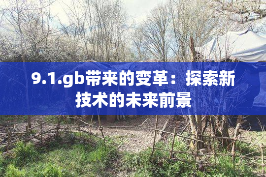 9.1.gb带来的变革：探索新技术的未来前景