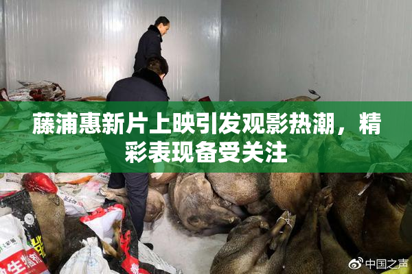 藤浦惠新片上映引发观影热潮，精彩表现备受关注