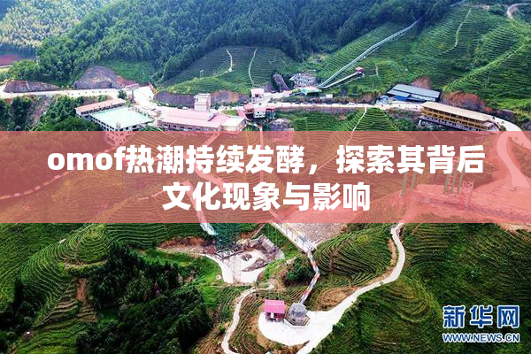 omof热潮持续发酵，探索其背后文化现象与影响