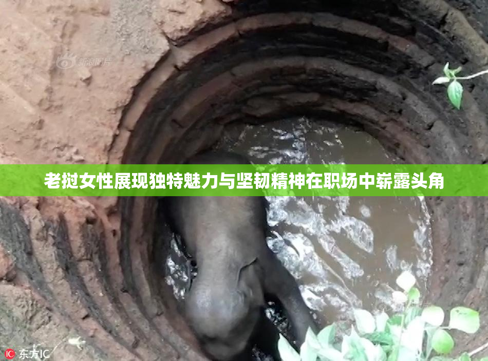 老挝女性展现独特魅力与坚韧精神在职场中崭露头角