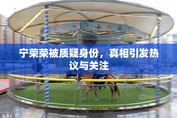 宁荣荣被质疑身份，真相引发热议与关注