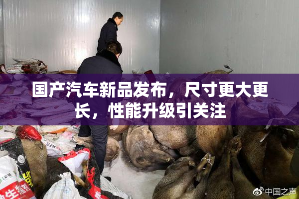 国产汽车新品发布，尺寸更大更长，性能升级引关注