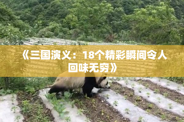 《三国演义：18个精彩瞬间令人回味无穷》