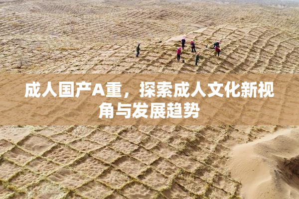 成人国产A重，探索成人文化新视角与发展趋势