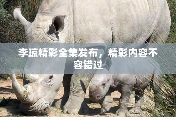 李琼精彩全集发布，精彩内容不容错过
